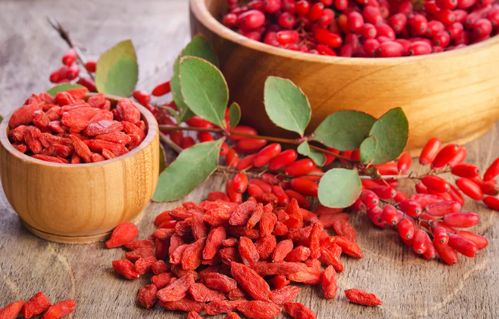 <p><strong>The Research Behind the Results</strong></p>